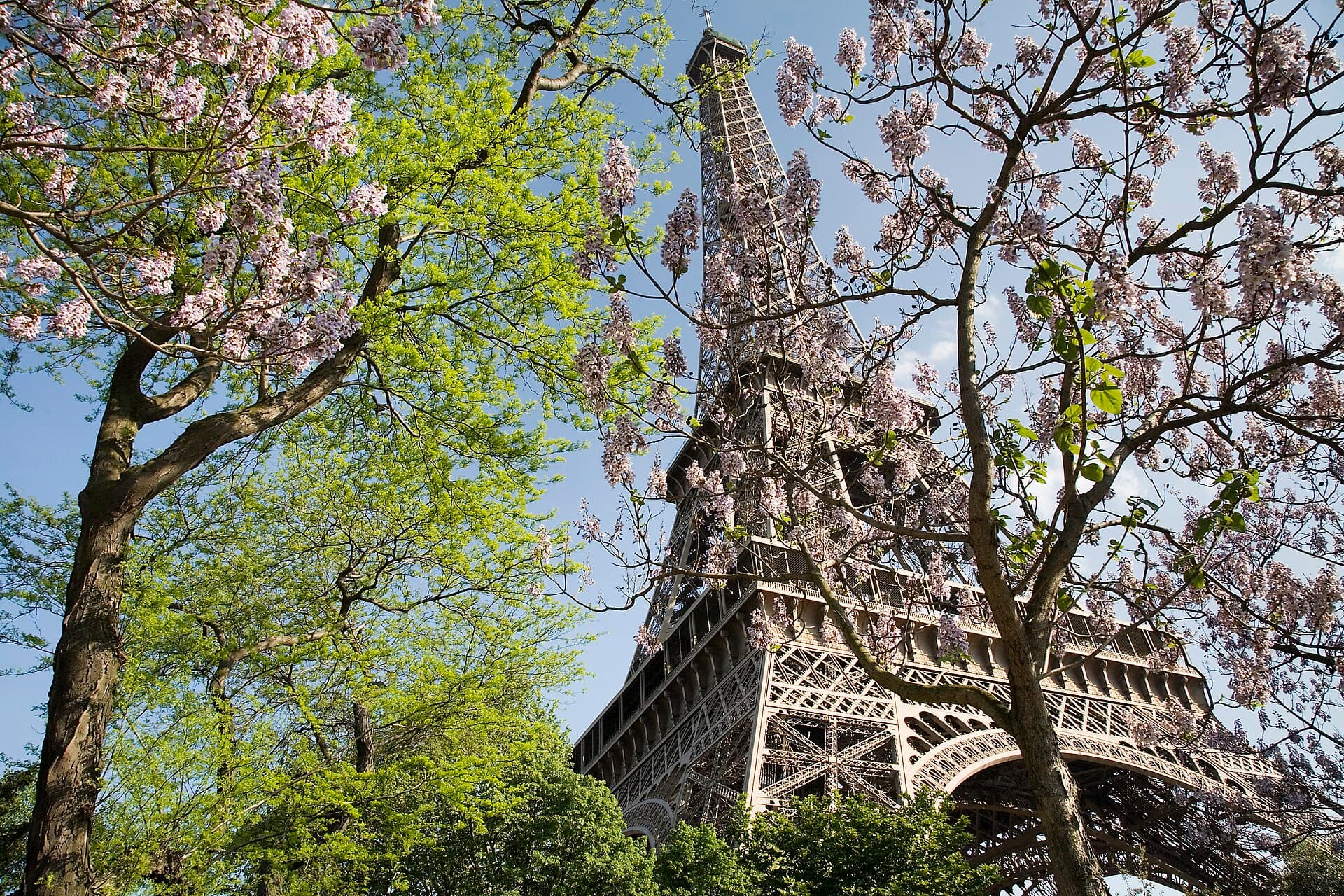 The Eiffel Tower in spring